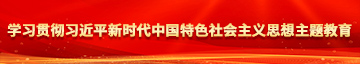 女生的逼被日学习贯彻习近平新时代中国特色社会主义思想主题教育